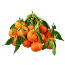 Spaanse mandarijnen met blad